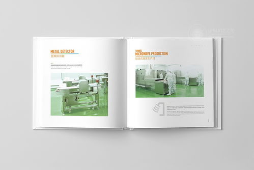 品牌視覺的深度構(gòu)建 從形象畫冊到企業(yè)戰(zhàn)略的全方位策劃